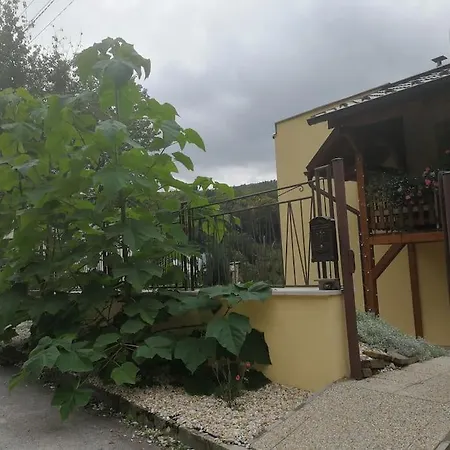 Apartman Pawlonia *